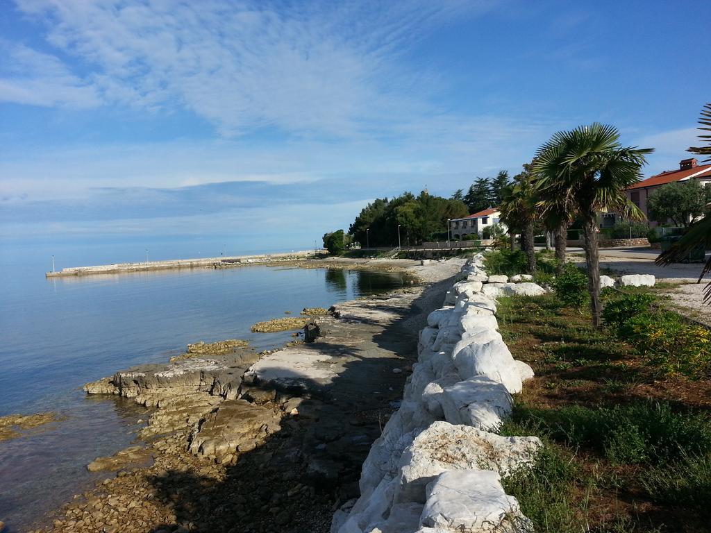 Guest house & Adamovic Umag