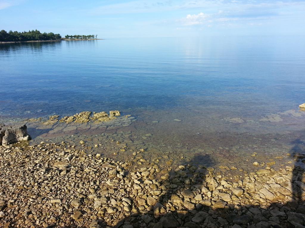 & Adamovic Gostinjska kuća Lovrecica (Istria)